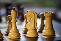 Schach