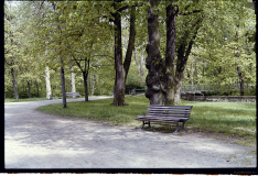 Schlosspark in Meiningen