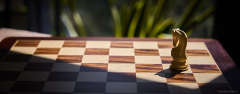 Schach in der Sonne